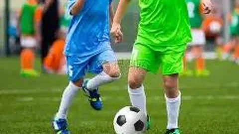 2025赛季NYBO全国总决赛完美收官