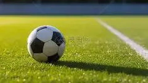 米兰体育 资讯 125011 moa